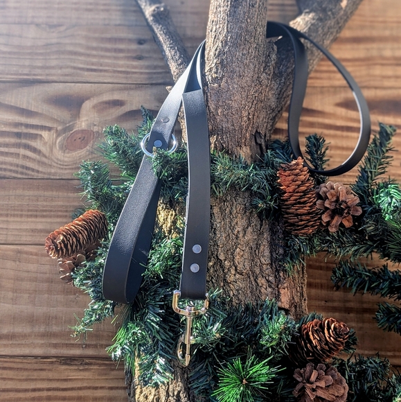 Biothane Leash - Picture 1 of 1